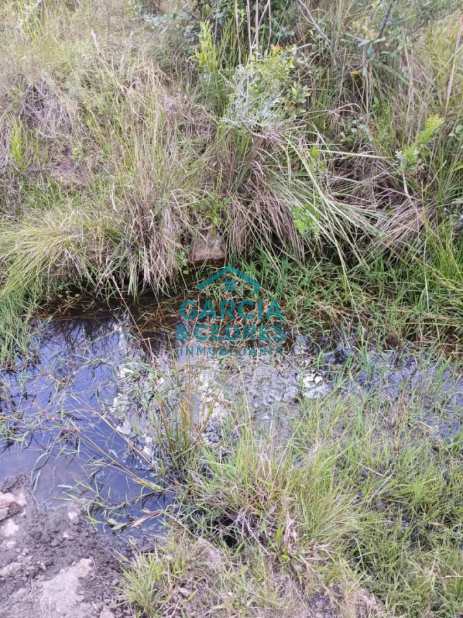 Chacra ID.561 - Chacra De 5 Has En Sierras De Carapé