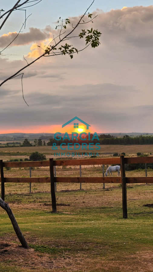 Chacra ID.85 - LUGAR DE ENSUEÑO !!!!  VENDO CHACRA DE 14 HAS QUE YA NO SE ENCUENTRAN EN LA ZONA . CANCHA DE POLO , PICADERO Y CABALLERIZAS 