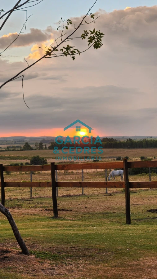 Chacra ID.85 - OPORTUNIDAD !!!!  VENDO CHACRA DE 14 HAS QUE YA NO SE ENCUENTRAN EN LA ZONA . CANCHA DE POLO , PICADERO Y CABALLERIZAS 