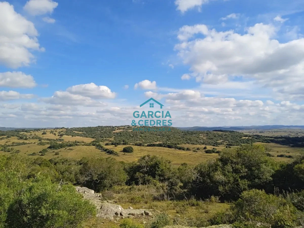 Chacra ID.478 -  Venta de Chacra Con Arroyo, Monte Nativo, Pastoreo, Vistas 360 En Altura, Sierras De Aigua