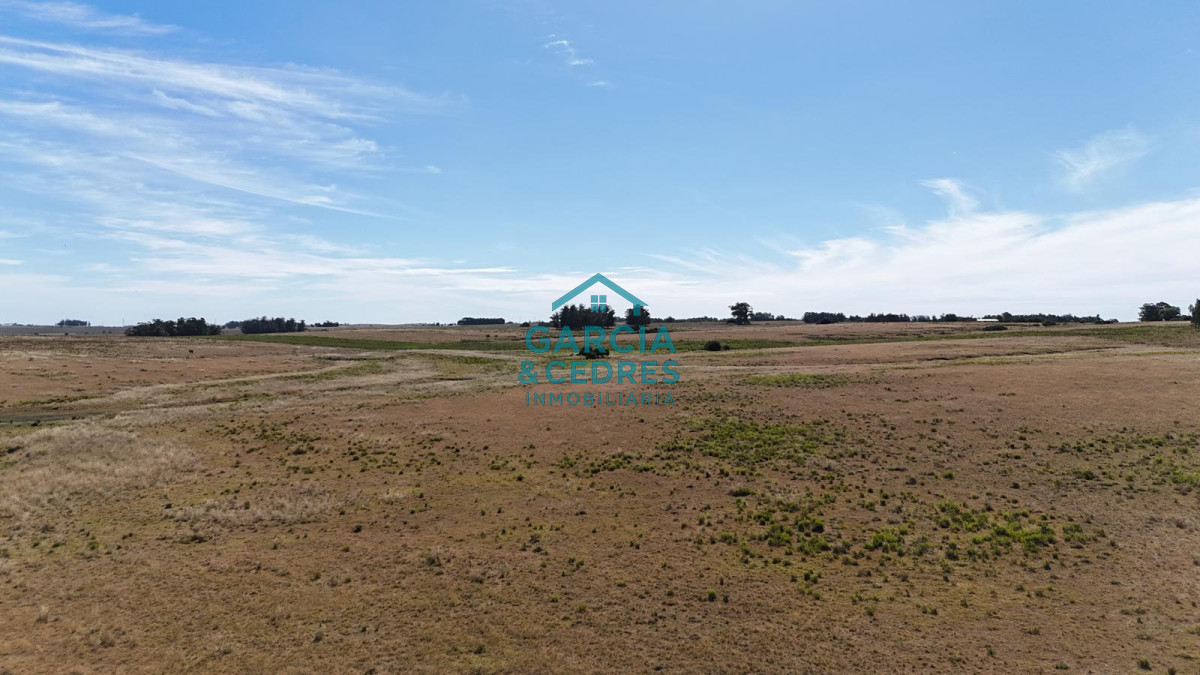 Chacra ID.144 - OPORTUNIDAD VENTA DE CHACRA 21 HAS ZONA DE LAGUNA JOSE IGNACIO