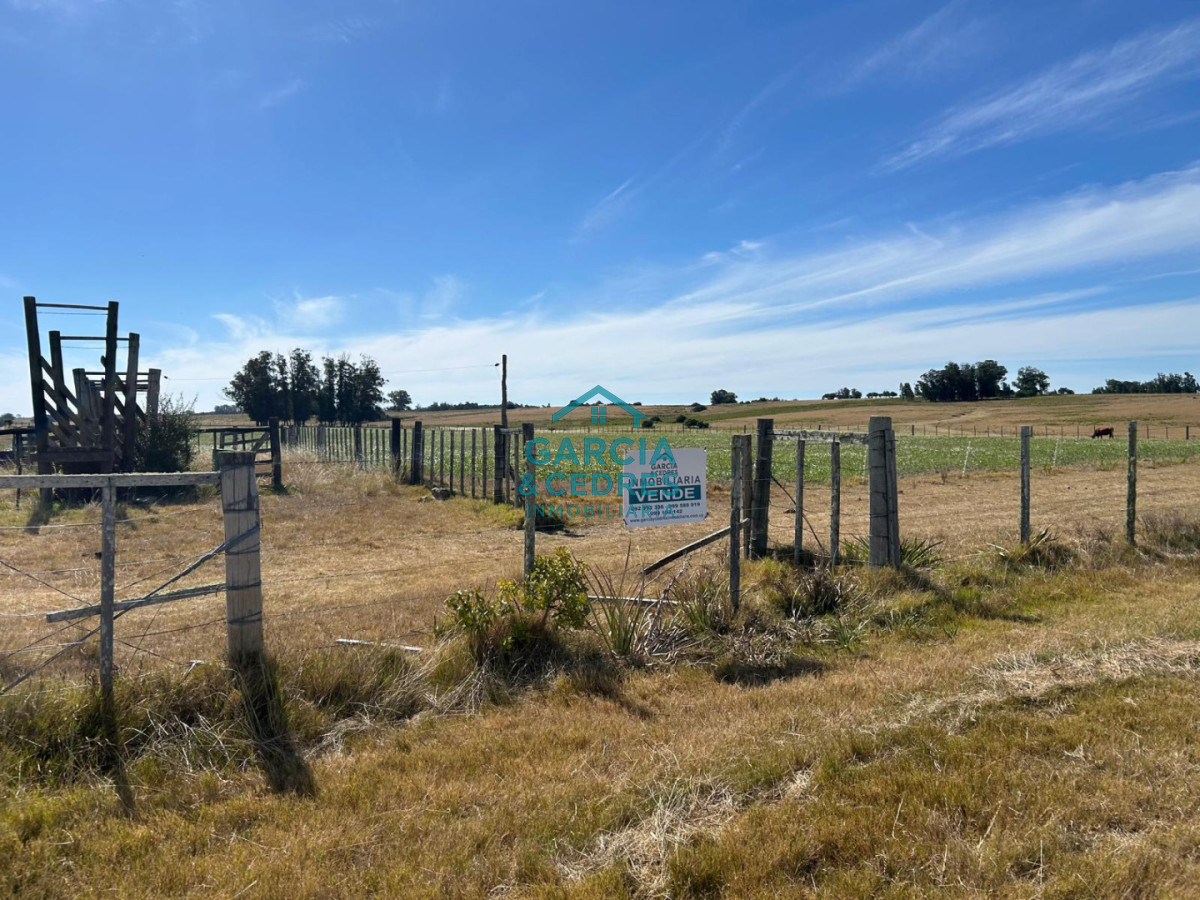 Chacra ID.144 - OPORTUNIDAD VENTA DE CHACRA 21 HAS ZONA DE LAGUNA JOSE IGNACIO