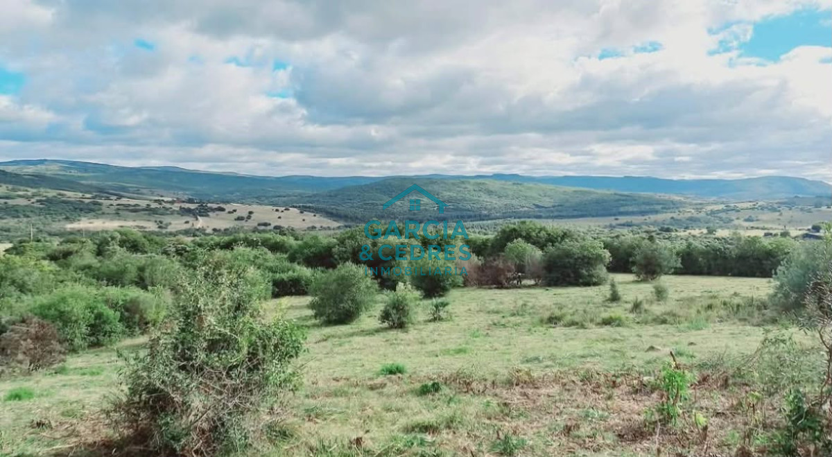 Chacra ID.696 - SE VENDE CASA EN ZONA PASO DE LAS CANTERAS GARZON