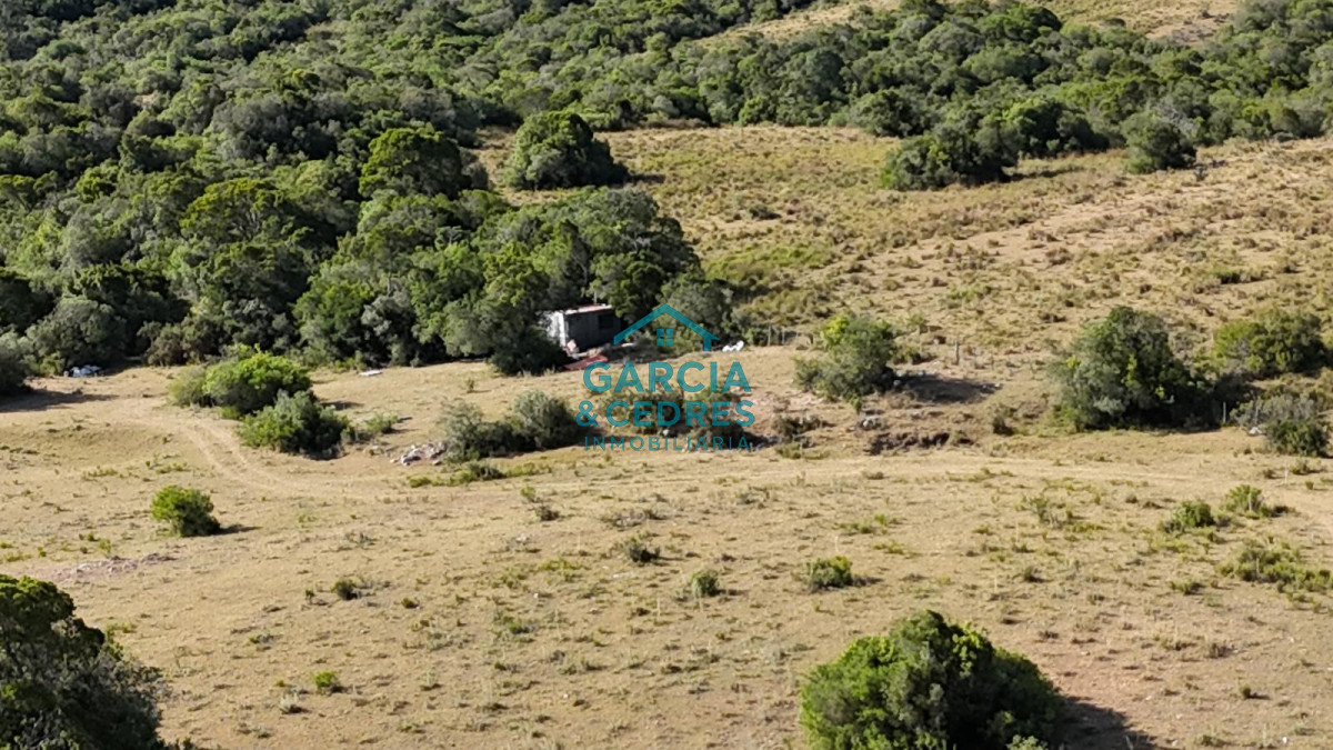 Chacra ID.145 - OPORTUNIDAD VENTA DE CHACRA DE 6 HAS CAMINO SIERRA LOS CARACOLES , BELLEZA EN LAS SIERRAS
