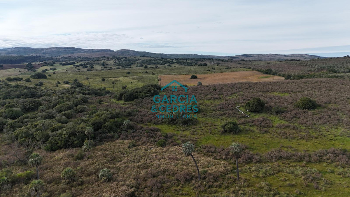 Chacra ID.643 - Chacra En venta de 10 has ruta 39 km 48 en Sierra de las Cañas 