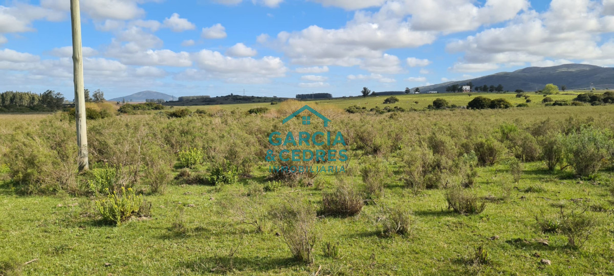 Chacra ID.123 - Excelente Oportunidad Venta de Chacras de 5 has en camino a la Nativa a U$S 74.000 