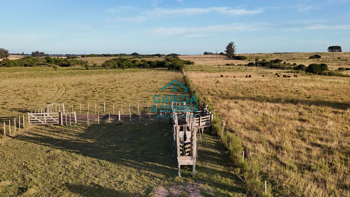 Chacra ID.146 - OPORTUNIDAD VENTA DE CHACRA 18 HAS 795 M2 ZONA ZANJA DE CHAVEZ