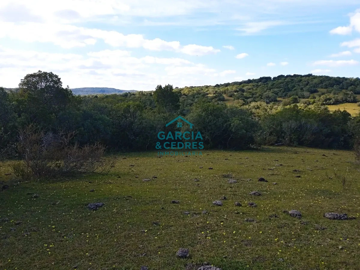 Chacra ID.478 -  Venta de Chacra Con Arroyo, Monte Nativo, Pastoreo, Vistas 360 En Altura, Sierras De Aigua