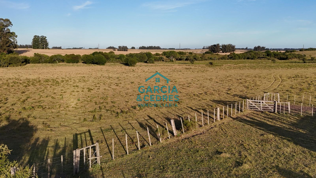 Chacra ID.146 - OPORTUNIDAD VENTA DE CHACRA 18 HAS 795 M2 ZONA ZANJA DE CHAVEZ