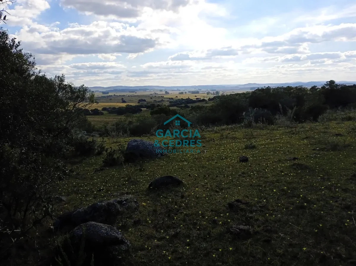 Chacra ID.478 -  Venta de Chacra Con Arroyo, Monte Nativo, Pastoreo, Vistas 360 En Altura, Sierras De Aigua