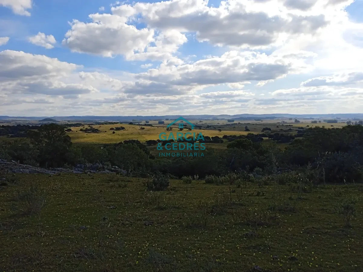 Chacra ID.478 -  Venta de Chacra Con Arroyo, Monte Nativo, Pastoreo, Vistas 360 En Altura, Sierras De Aigua