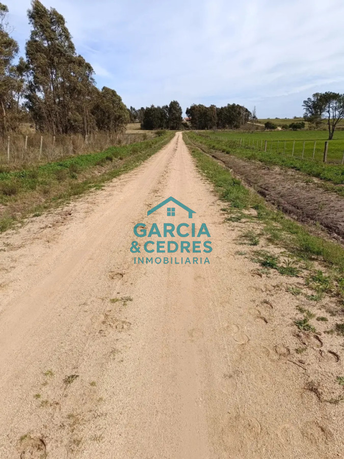 Chacra ID.562 -  Chacra 7 Has, San Jacinto, Canelones.