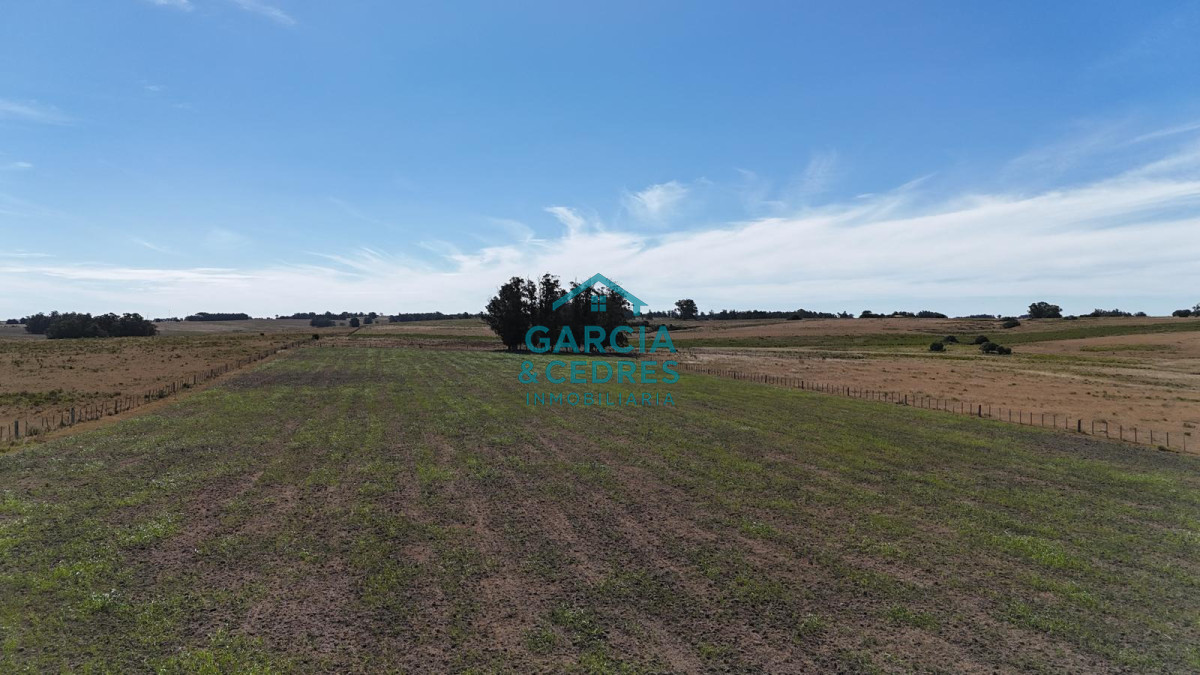 Chacra ID.144 - OPORTUNIDAD VENTA DE CHACRA 21 HAS ZONA DE LAGUNA JOSE IGNACIO