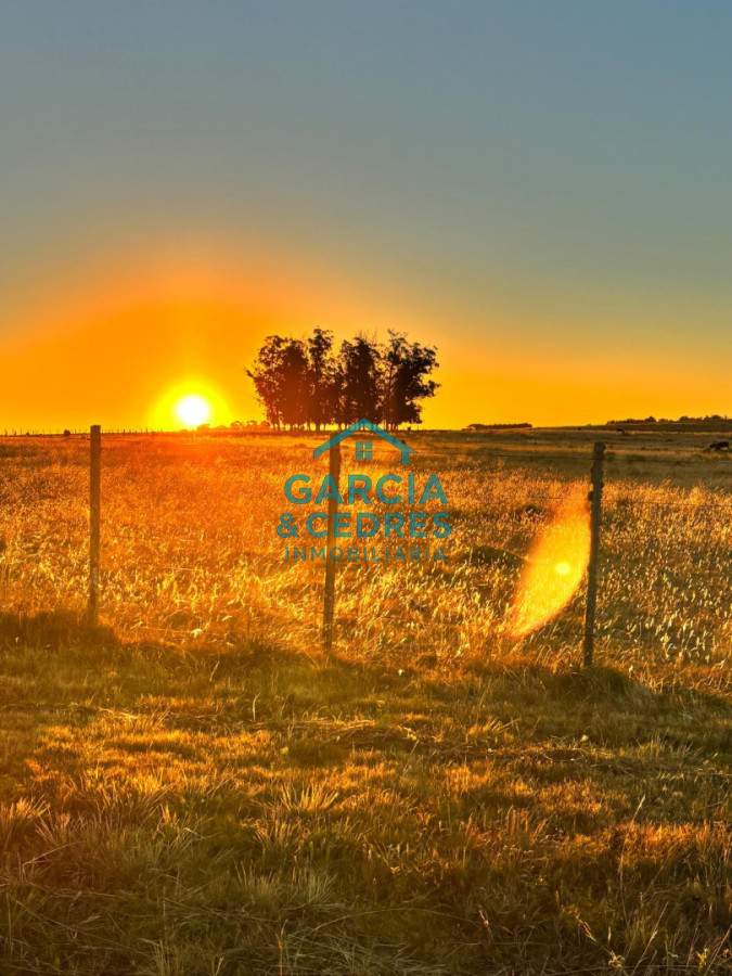 Chacra ID.144 - OPORTUNIDAD VENTA DE CHACRA 21 HAS ZONA DE LAGUNA JOSE IGNACIO