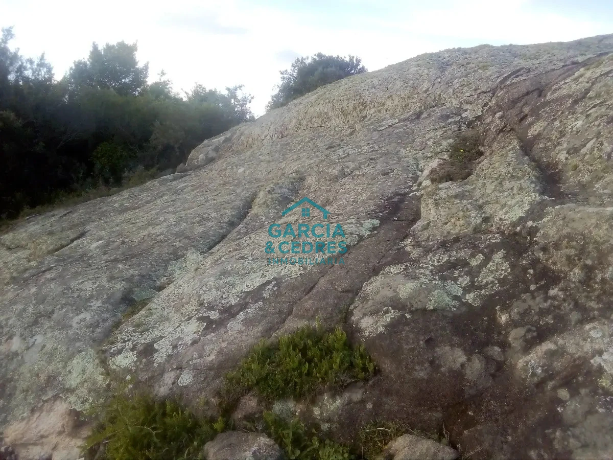 Chacra ID.478 -  Venta de Chacra Con Arroyo, Monte Nativo, Pastoreo, Vistas 360 En Altura, Sierras De Aigua