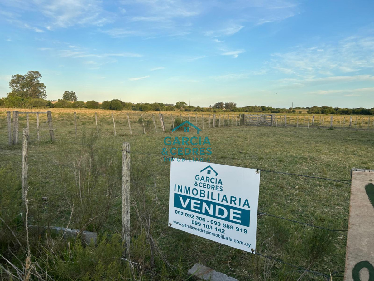 Chacra ID.146 - OPORTUNIDAD VENTA DE CHACRA 18 HAS 795 M2 ZONA ZANJA DE CHAVEZ