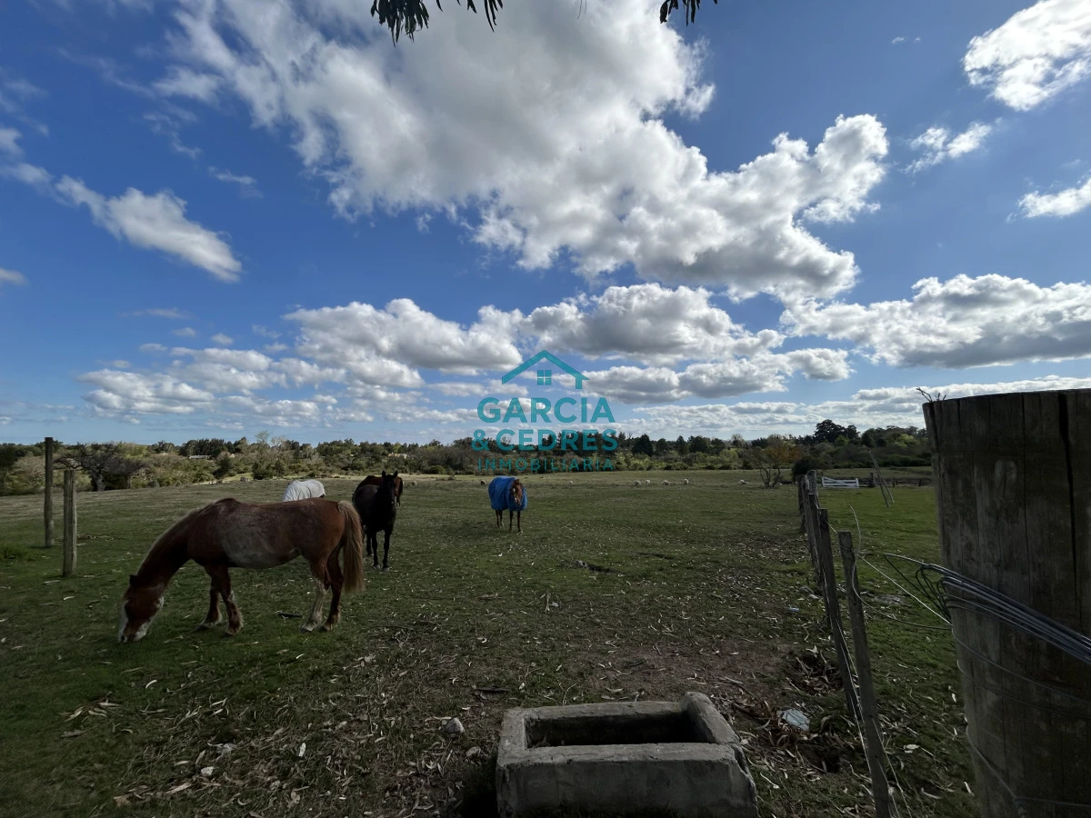 Chacra ID.9 - Alquiler Anual de Chacra  de 7 hectáreas en San Carlos detrás del Parque Medina , Excelente indice coneatya tiene una excelente quinta  