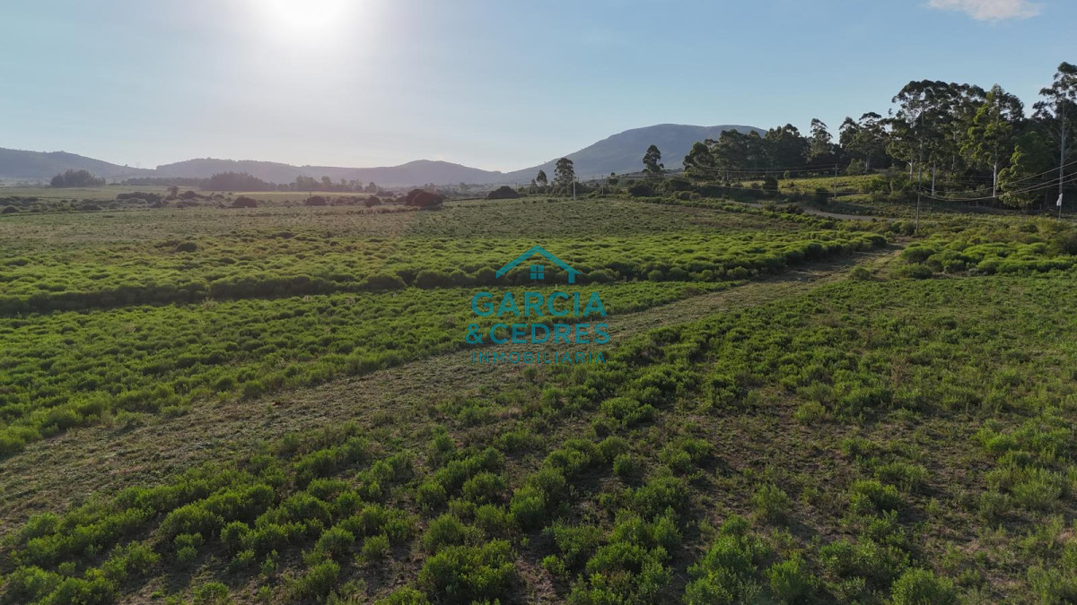Chacra ID.123 - Excelente Oportunidad Venta de Chacras de 5 has en camino a la Nativa desde U$S 74.000 