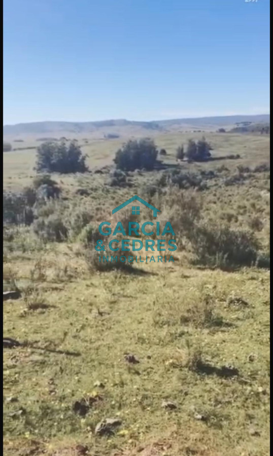 Chacra ID.56 - Oportunidad !!!!!! a solo U$S 90.000 .Vendo Chacra de 12 Has y 8000 mt en Minas . Cno Al Barrancon 