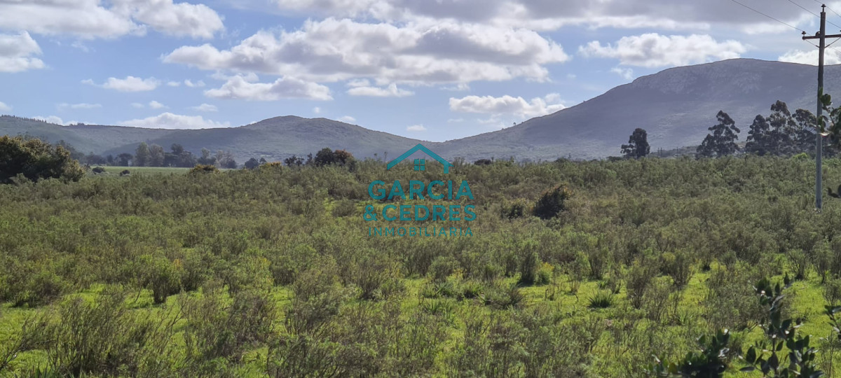 Chacra ID.123 - Excelente Oportunidad Venta de Chacras de 5 has en camino a la Nativa a U$S 74.000 