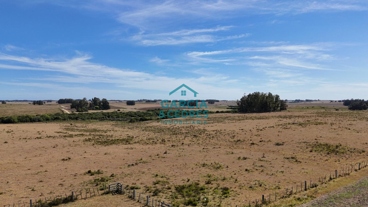 Chacra ID.144 - OPORTUNIDAD VENTA DE CHACRA 21 HAS ZONA DE LAGUNA JOSE IGNACIO