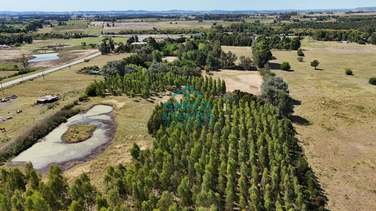 Chacra ID.174 - Oportunidad !!!! Vendo Chacra de Lujo con Dos Residencias y Emprendimiento en Funcionamiento