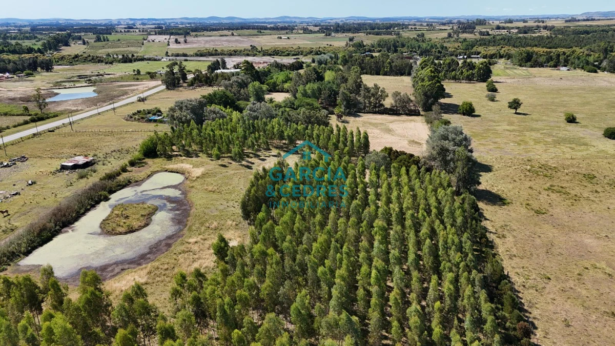 Chacra ID.174 - Oportunidad !!!! Vendo Chacra de Lujo con Dos Residencias y Emprendimiento en Funcionamiento