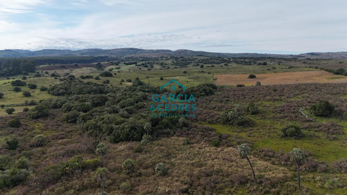 Chacra ID.643 - Chacra En venta de 10 has ruta 39 km 48 en Sierra de las Cañas 