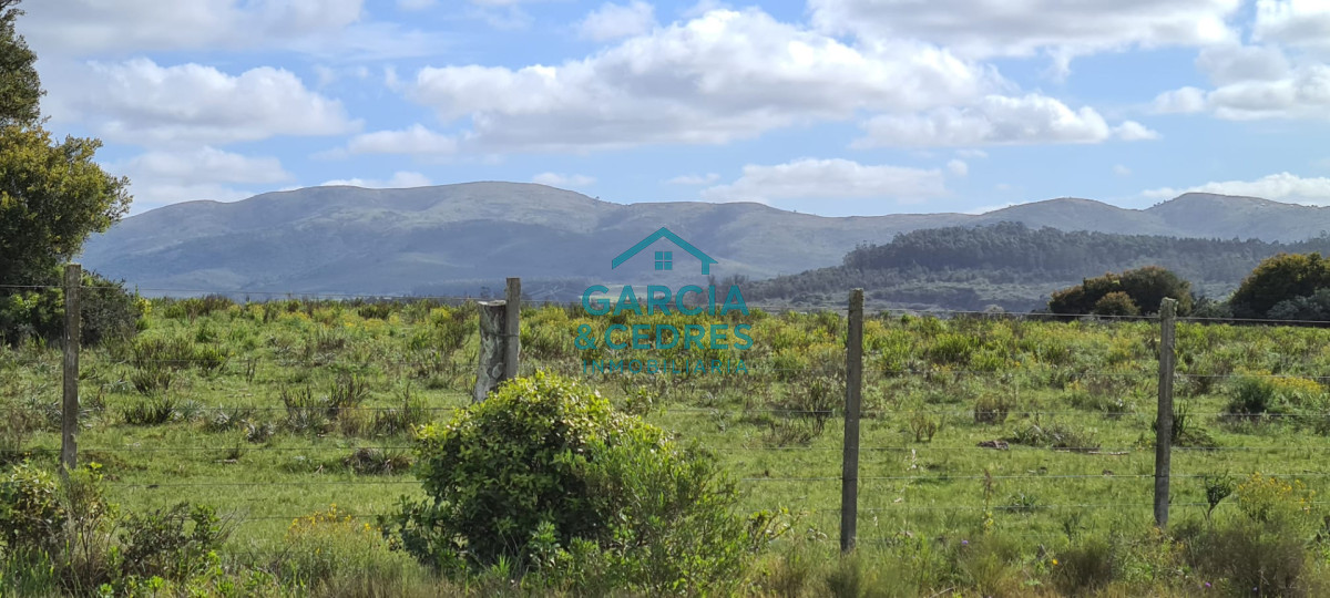 Chacra ID.123 - Excelente Oportunidad Venta de Chacras de 5 has en camino a la Nativa a U$S 74.000 