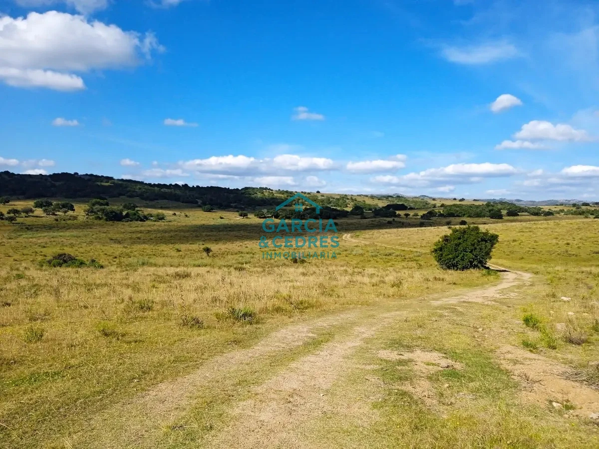 Chacra ID.478 -  Venta de Chacra Con Arroyo, Monte Nativo, Pastoreo, Vistas 360 En Altura, Sierras De Aigua