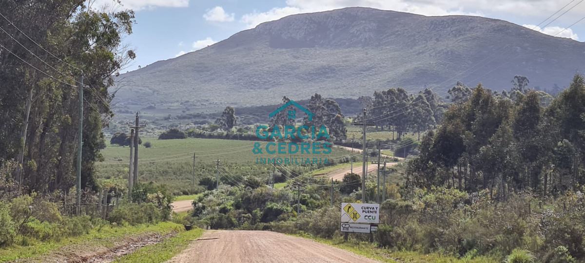 Chacra ID.123 - Excelente Oportunidad Venta de Chacras de 5 has en camino a la Nativa a U$S 74.000 