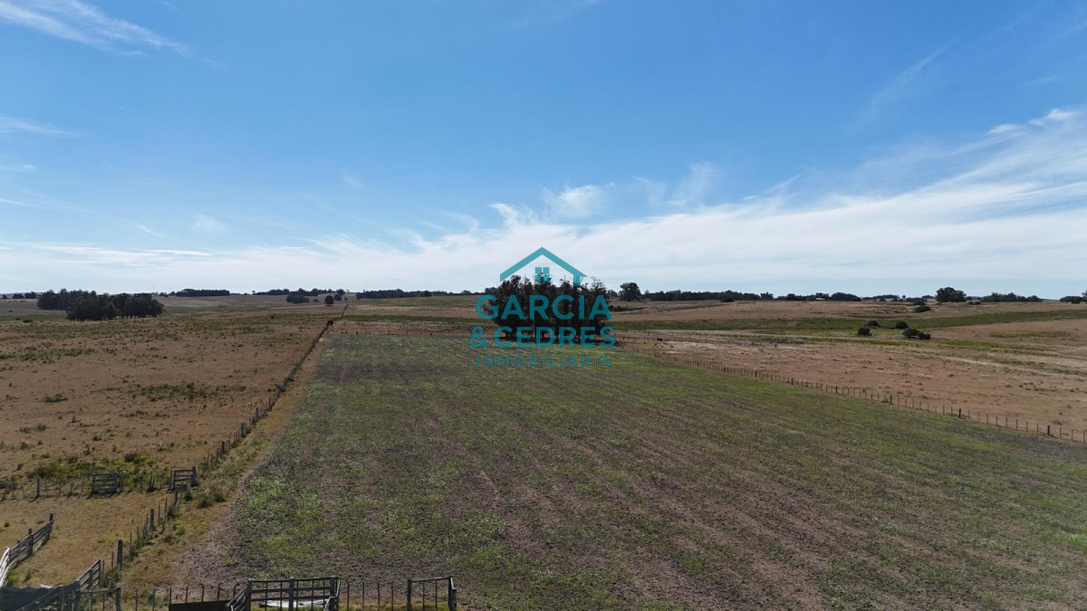 Chacra ID.144 - OPORTUNIDAD VENTA DE CHACRA 21 HAS ZONA DE LAGUNA JOSE IGNACIO