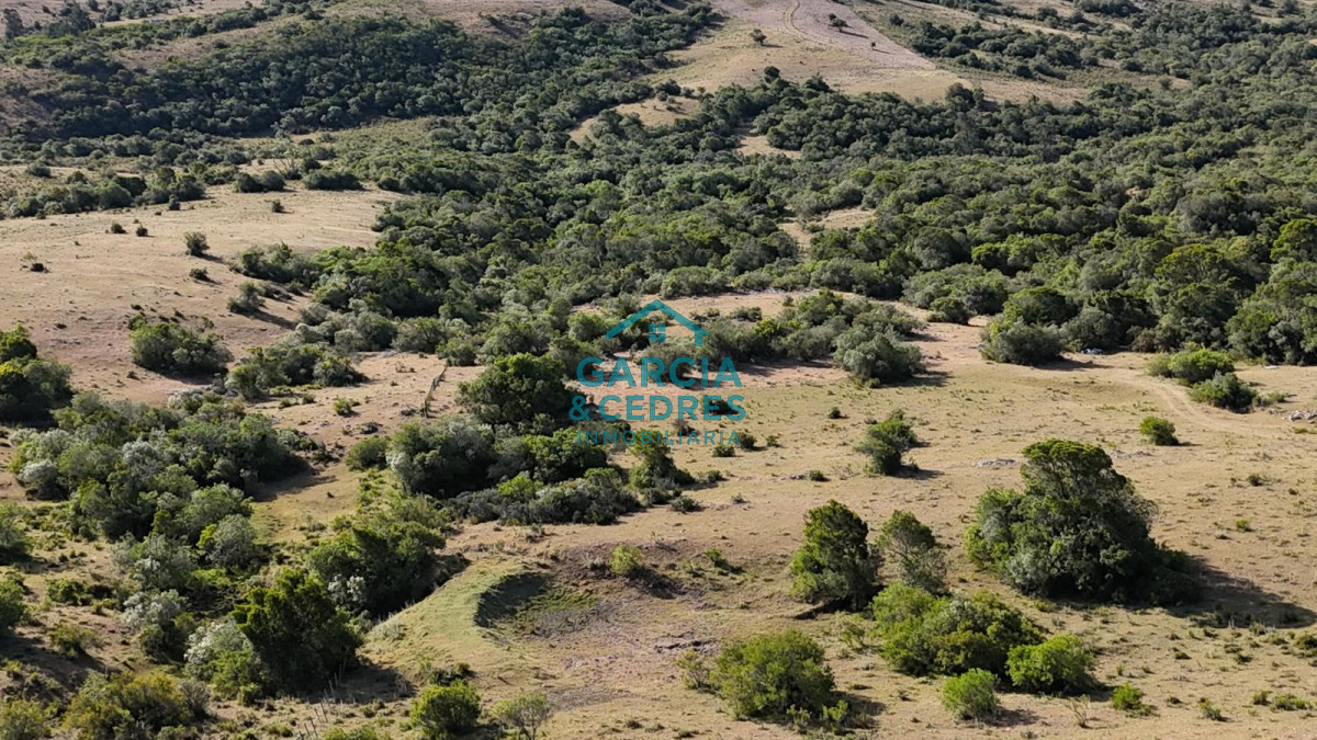 Chacra ID.145 - OPORTUNIDAD VENTA DE CHACRA DE 6 HAS CAMINO SIERRA LOS CARACOLES , BELLEZA EN LAS SIERRAS