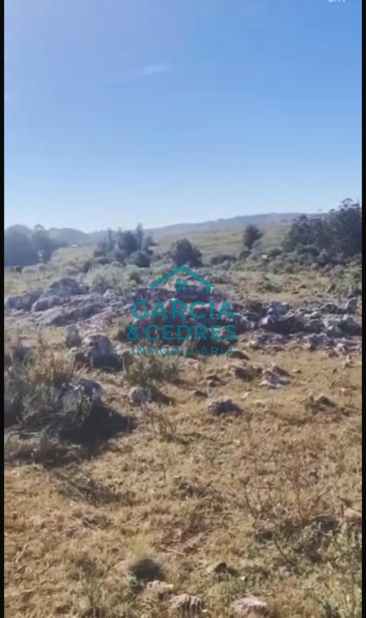 Chacra ID.56 - Oportunidad !!!!!! a solo U$S 90.000 .Vendo Chacra de 12 Has y 8000 mt en Minas . Cno Al Barrancon 