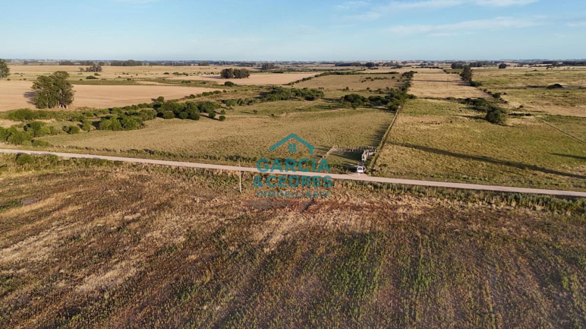 Chacra ID.146 - OPORTUNIDAD VENTA DE CHACRA 18 HAS 795 M2 ZONA ZANJA DE CHAVEZ