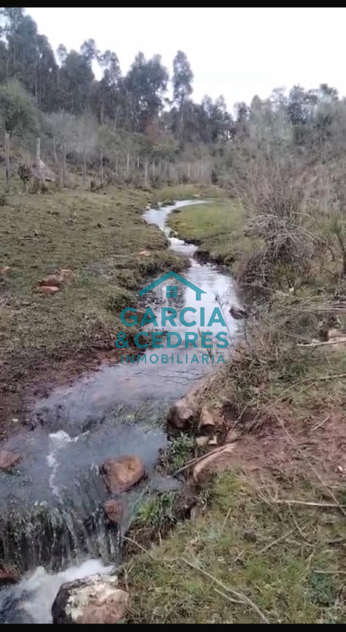 Chacra ID.56 - Oportunidad !!!!!! a solo U$S 90.000 .Vendo Chacra de 12 Has y 8000 mt en Minas . Cno Al Barrancon 