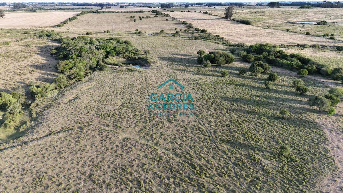 Chacra ID.146 - OPORTUNIDAD VENTA DE CHACRA 18 HAS 795 M2 ZONA ZANJA DE CHAVEZ