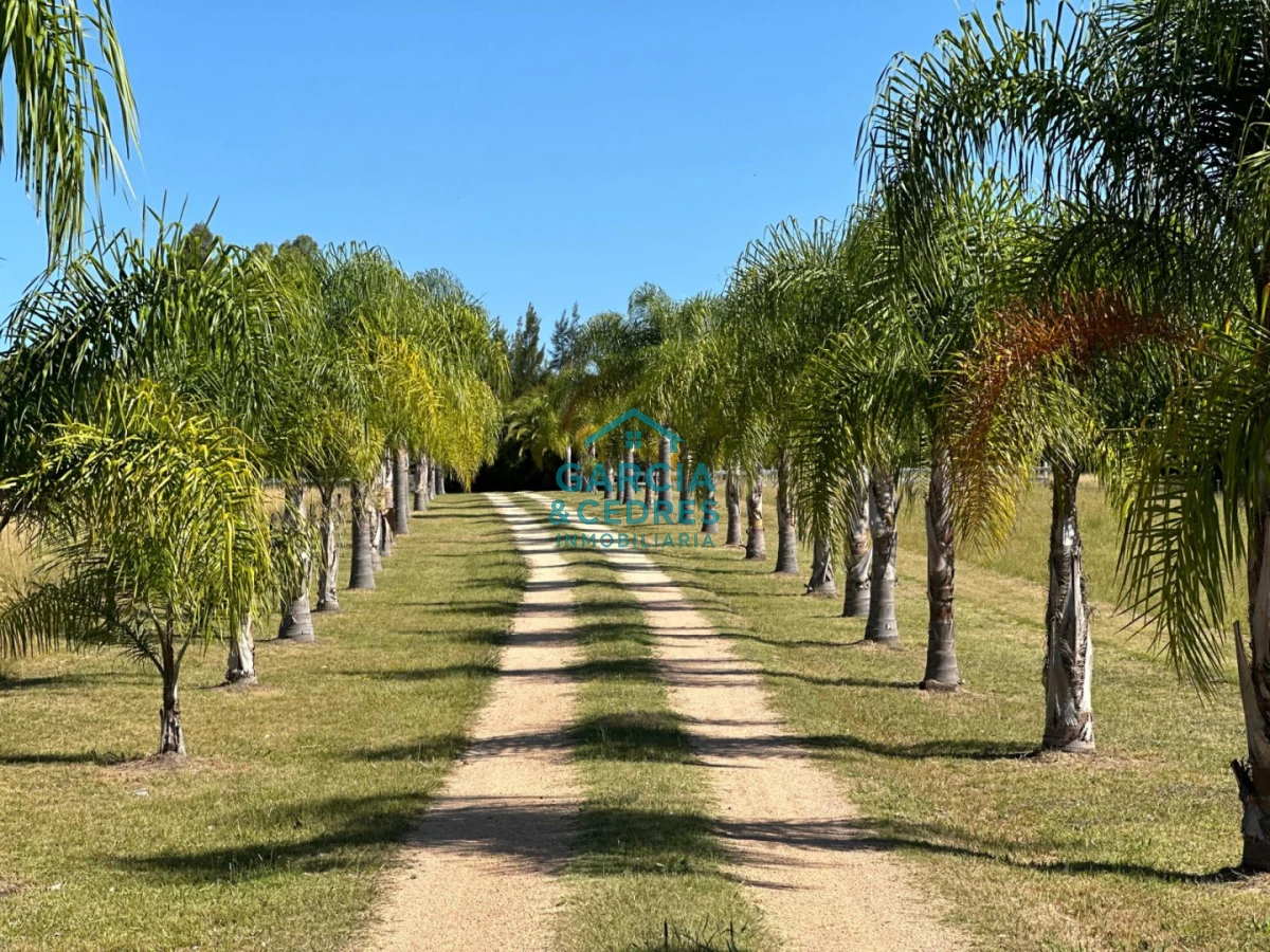 Chacra ID.174 - Oportunidad !!!! Vendo Chacra de Lujo con Dos Residencias y Emprendimiento en Funcionamiento