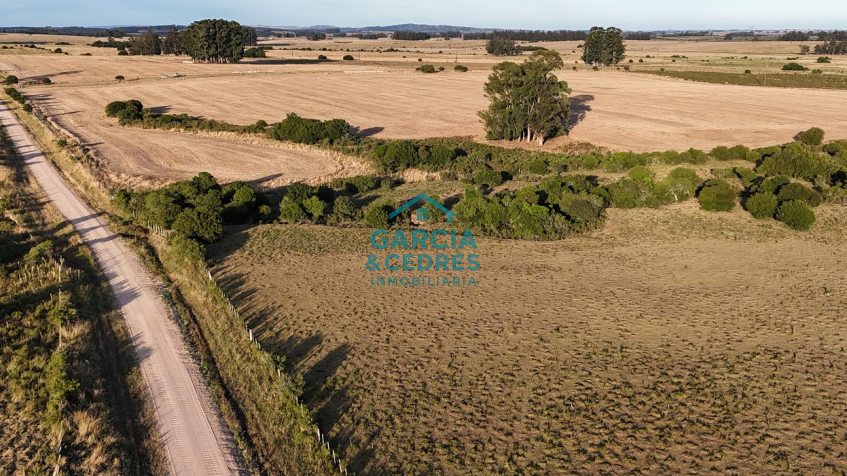 Chacra ID.146 - OPORTUNIDAD VENTA DE CHACRA 18 HAS 795 M2 ZONA ZANJA DE CHAVEZ