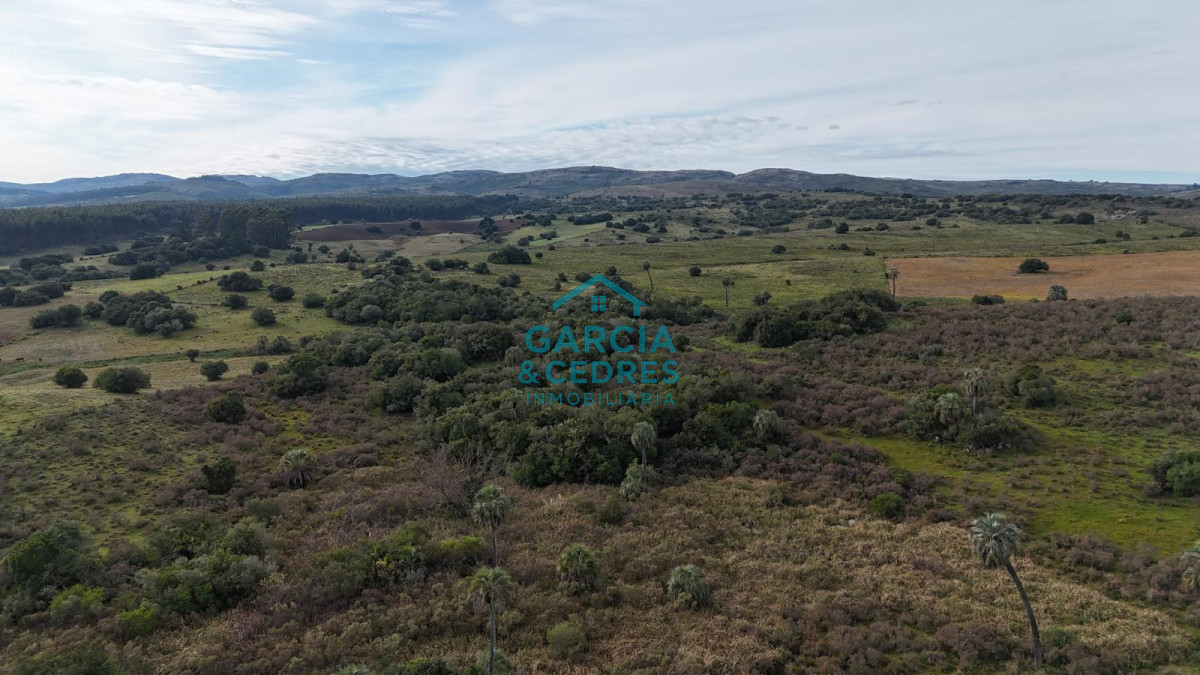 Chacra ID.643 - Chacra En venta de 10 has ruta 39 km 48 en Sierra de las Cañas 