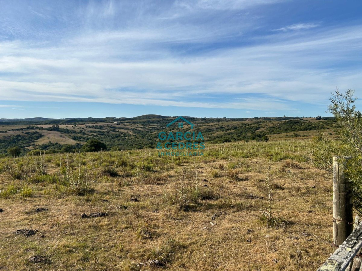 Chacra ID.145 - OPORTUNIDAD VENTA DE CHACRA DE 6 HAS CAMINO SIERRA LOS CARACOLES , BELLEZA EN LAS SIERRAS