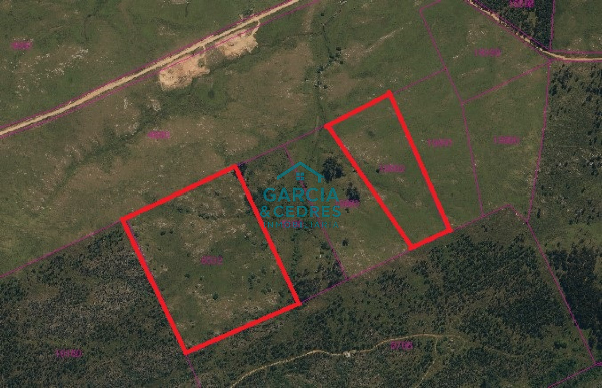 Chacra ID.56 - Oportunidad !!!!!! a solo U$S 90.000 .Vendo Chacra de 12 Has y 8000 mt en Minas . Cno Al Barrancon 