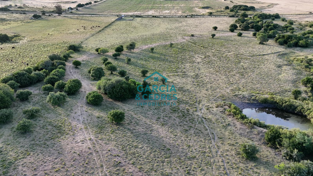 Chacra ID.146 - OPORTUNIDAD VENTA DE CHACRA 18 HAS 795 M2 ZONA ZANJA DE CHAVEZ