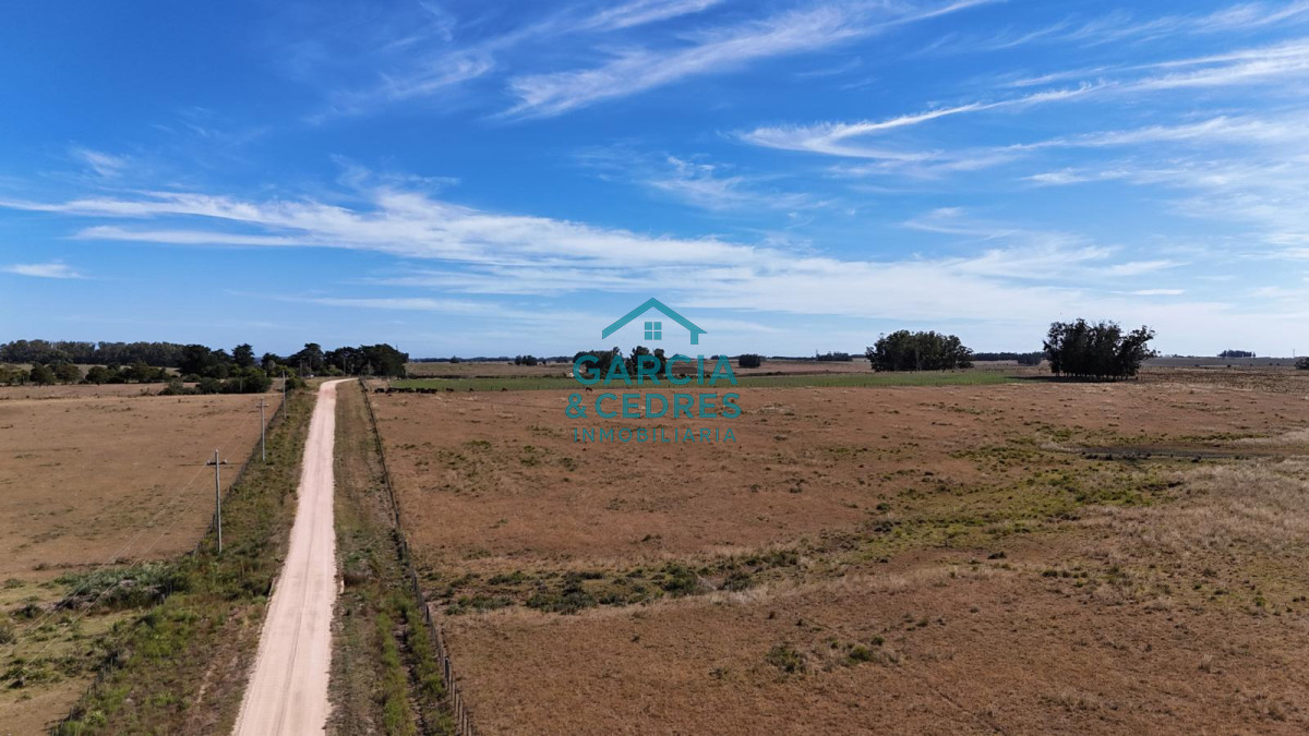 Chacra ID.144 - OPORTUNIDAD VENTA DE CHACRA 21 HAS ZONA DE LAGUNA JOSE IGNACIO