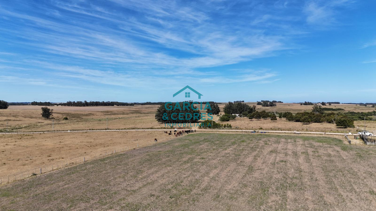 Chacra ID.144 - OPORTUNIDAD VENTA DE CHACRA 21 HAS ZONA DE LAGUNA JOSE IGNACIO