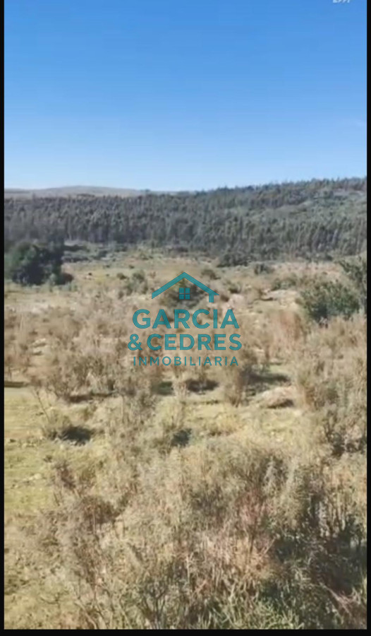 Chacra ID.56 - Oportunidad !!!!!! a solo U$S 90.000 .Vendo Chacra de 12 Has y 8000 mt en Minas . Cno Al Barrancon 