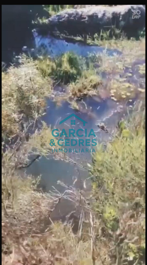 Chacra ID.56 - Oportunidad !!!!!! a solo U$S 90.000 .Vendo Chacra de 12 Has y 8000 mt en Minas . Cno Al Barrancon 