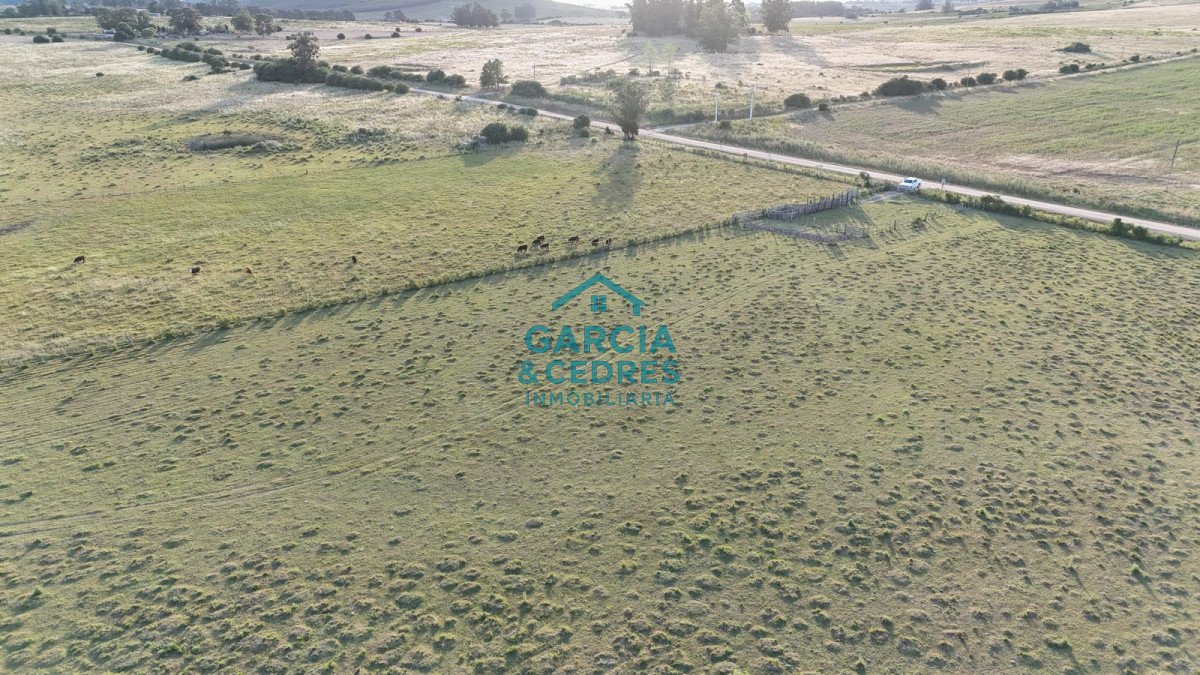 Chacra ID.146 - OPORTUNIDAD VENTA DE CHACRA 18 HAS 795 M2 ZONA ZANJA DE CHAVEZ