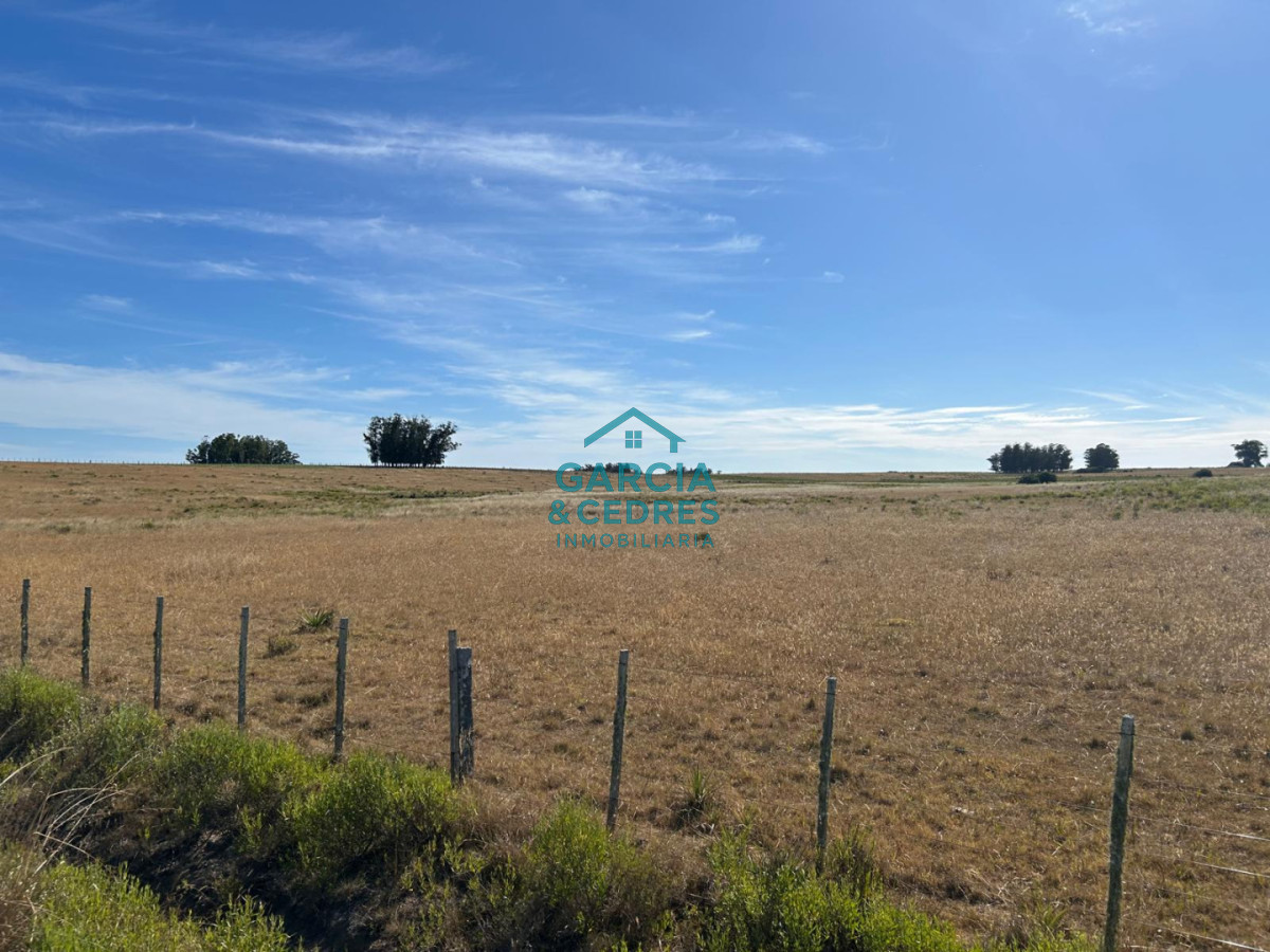 Chacra ID.144 - OPORTUNIDAD VENTA DE CHACRA 21 HAS ZONA DE LAGUNA JOSE IGNACIO