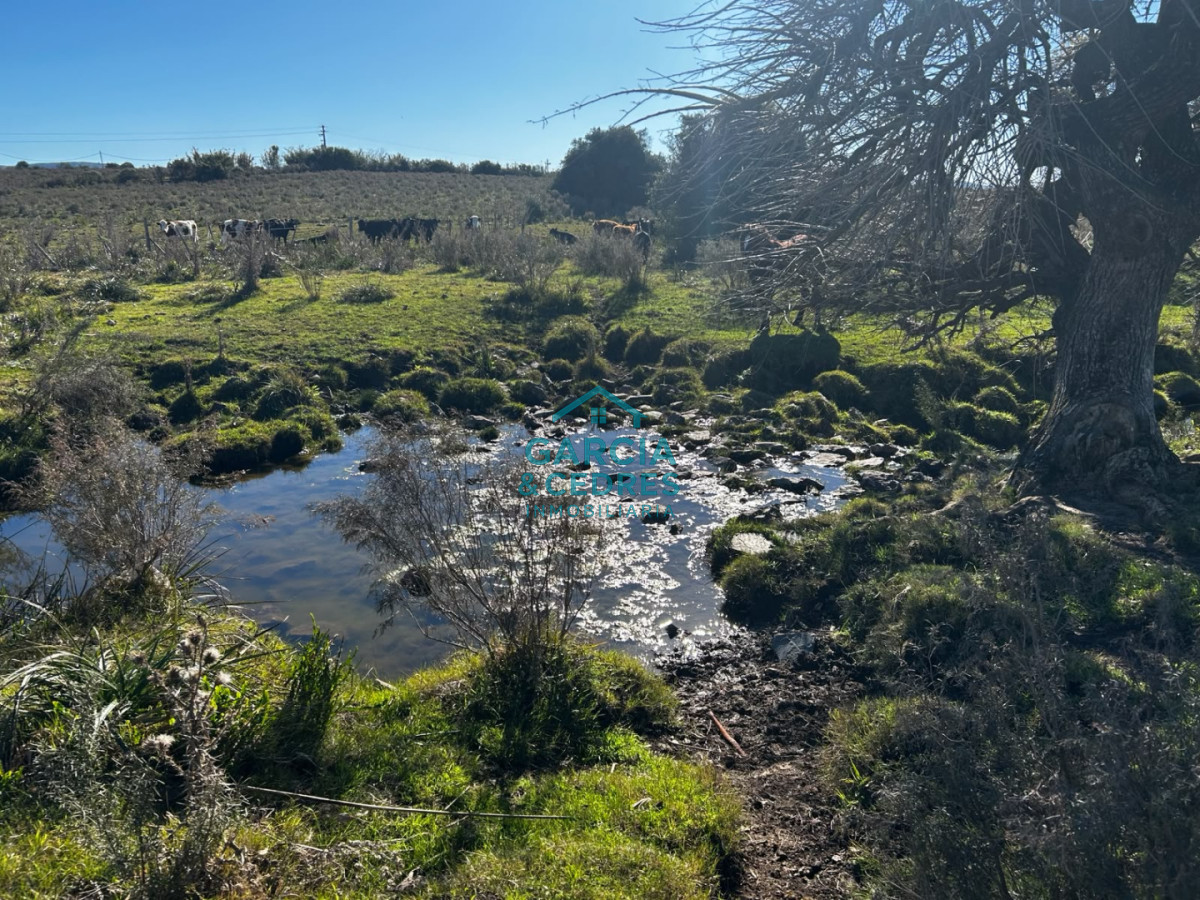 Chacra ID.763 - Chacra en Km 110 . 10 Hectáreas Exclusivas con Cañada Permanente y Vista Panorámica a la Sierra de las Ánimas
